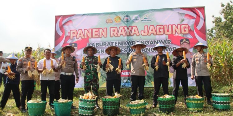 Panen Raya Jagung, Kapolres Karanganyar : Semoga bermanfaat bagi masyarakat