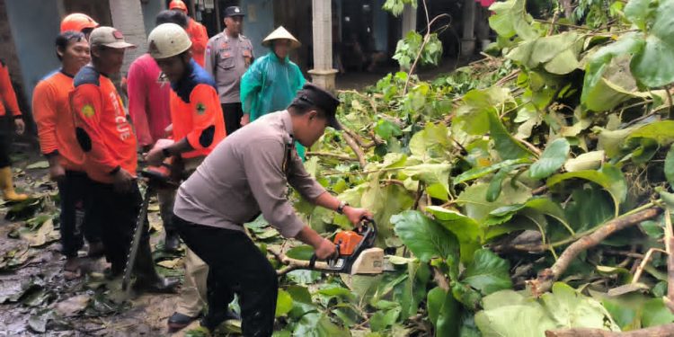 Akses Jalan Sempat Tertutup, Polisi dan Warga Evakuasi Pohon Tumbang di Kebakkramat